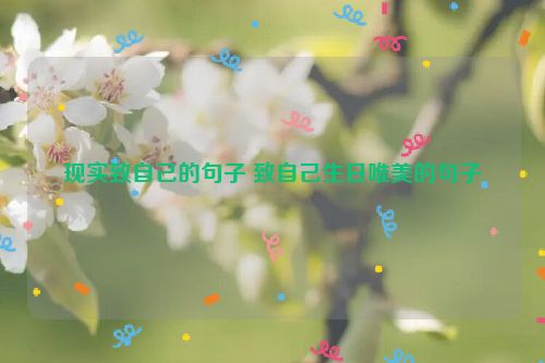 现实致自己的句子 致自己生日唯美的句子