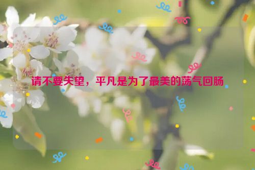 请不要失望，平凡是为了最美的荡气回肠