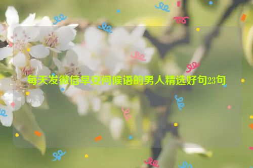每天发微信早安问候语的男人精选好句23句