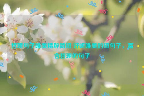 哲理句子唯美精辟简短 好听唯美的短句子，富含哲理的句子