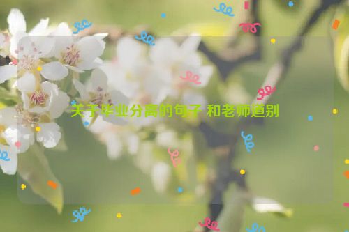 关于毕业分离的句子 和老师道别