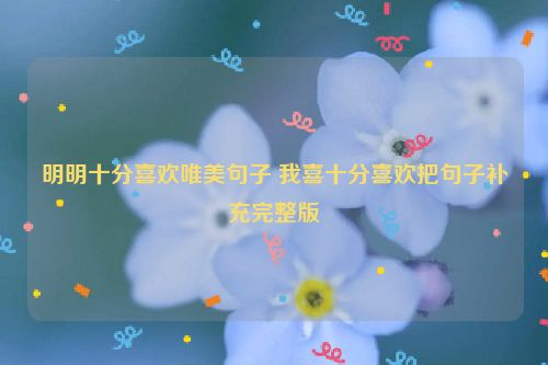 明明十分喜欢唯美句子 我喜十分喜欢把句子补充完整版