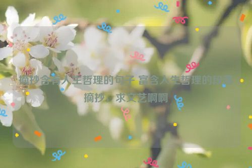 摘抄含有人生哲理的句子 富含人生哲理的段落摘抄，求文艺啊啊