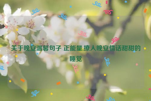 关于晚安温馨句子 正能量,撩人晚安情话甜甜的睡觉