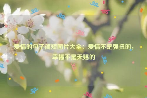 爱情的句子简短图片大全：爱情不是强扭的，幸福不是天赐的