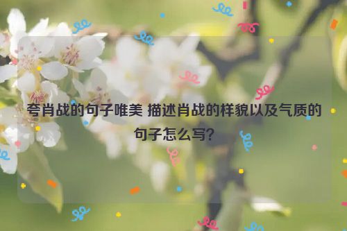 夸肖战的句子唯美 描述肖战的样貌以及气质的句子怎么写？