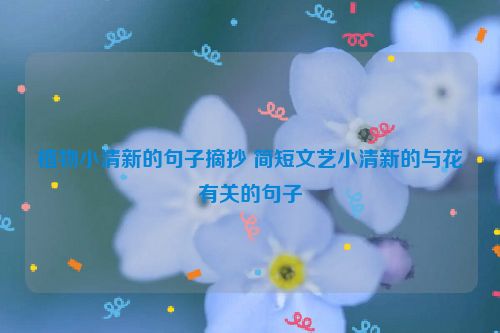 植物小清新的句子摘抄 简短文艺小清新的与花有关的句子
