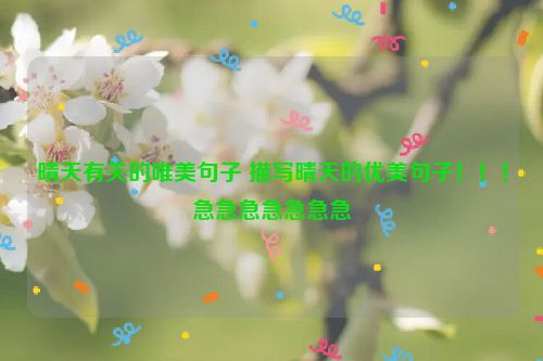 晴天有关的唯美句子 描写晴天的优美句子！！！急急急急急急急