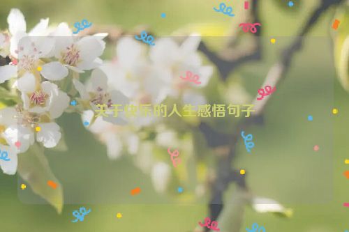 关于快乐的人生感悟句子