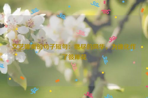 文艺唯美的句子短句：燃尽的风华，为谁化作了彼岸花
