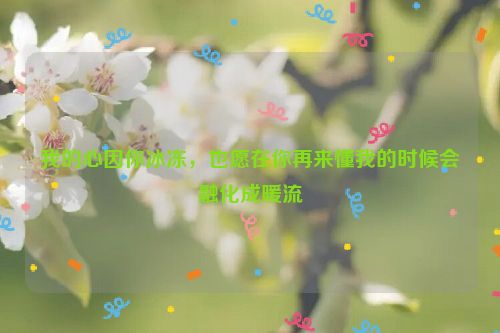 我的心因你冰冻，也愿在你再来懂我的时候会融化成暖流