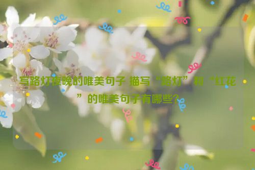 写路灯夜晚的唯美句子 描写“路灯”和“红花”的唯美句子有哪些？