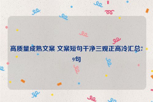 高质量成熟文案 文案短句干净三观正高冷汇总79句