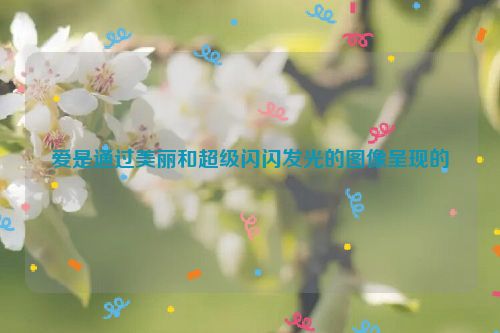 爱是通过美丽和超级闪闪发光的图像呈现的