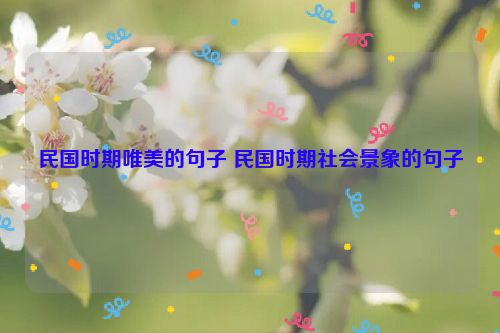 民国时期唯美的句子 民国时期社会景象的句子