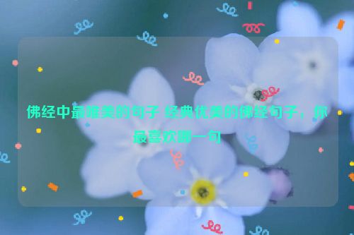 佛经中最唯美的句子 经典优美的佛经句子，你最喜欢哪一句