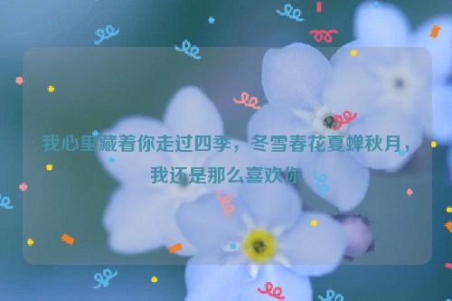 我心里藏着你走过四季，冬雪春花夏蝉秋月，我还是那么喜欢你