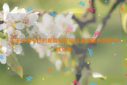 关于心情不好的爱情说说短句 能引起共鸣的伤感文案