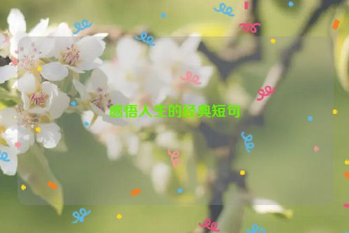 感悟人生的经典短句