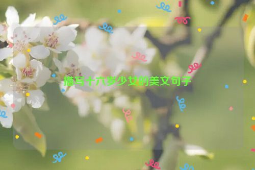 描写十六岁少女的美文句子