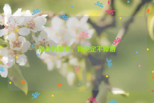你走的那天，我决定不掉泪