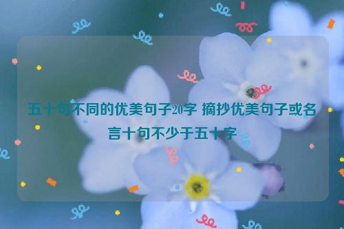 五十句不同的优美句子20字 摘抄优美句子或名言十句不少于五十字