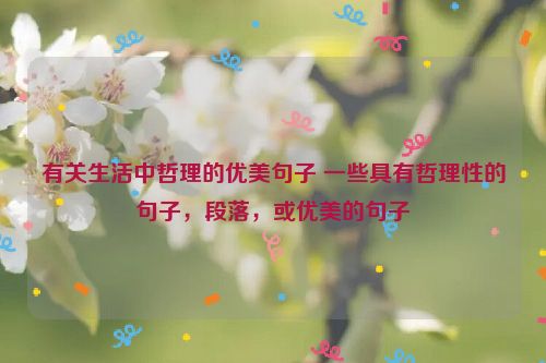 有关生活中哲理的优美句子 一些具有哲理性的句子，段落，或优美的句子