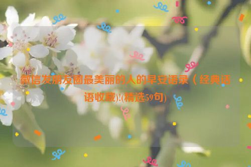 微信发朋友圈最美丽的人的早安语录（经典话语收藏)!(精选59句)