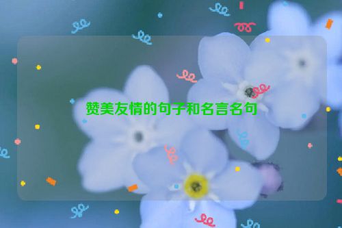 赞美友情的句子和名言名句