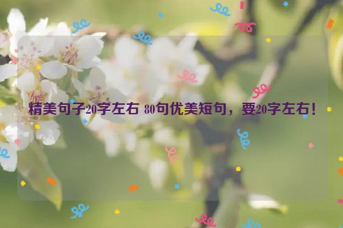 精美句子20字左右 80句优美短句，要20字左右！