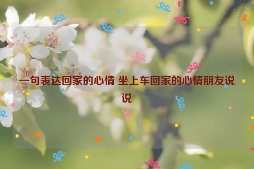 一句表达回家的心情 坐上车回家的心情朋友说说