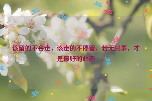 该留的不会走，该走的不停留，若无其事，才是最好的心态