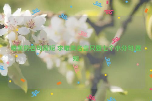 唯美的名句简短 求唯美名言只要七个小分句,要短