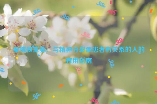 爱情很重要：与精神分裂症患者有关系的人的有用指南