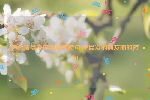 适合清晨发的朋友圈短句 早晨发的朋友圈的短句