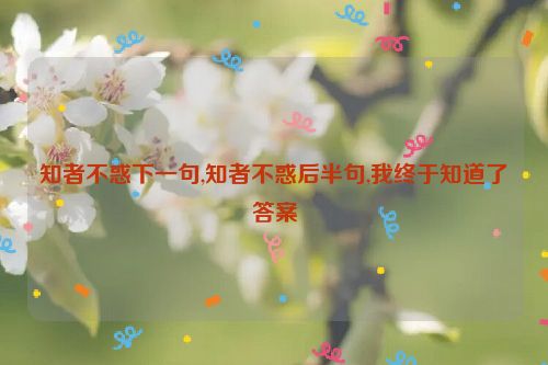 知者不惑下一句,知者不惑后半句,我终于知道了答案