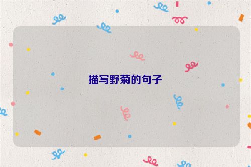 描写野菊的句子