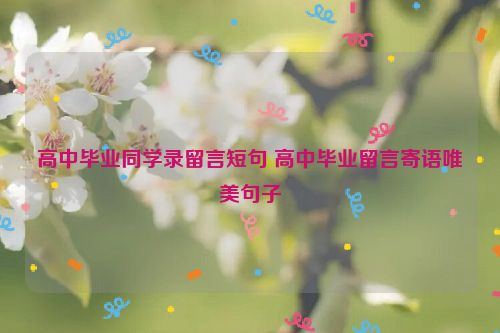 高中毕业同学录留言短句 高中毕业留言寄语唯美句子