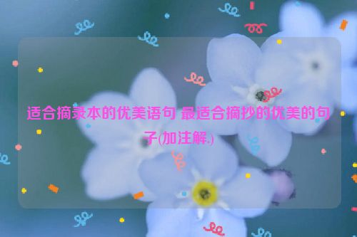 适合摘录本的优美语句 最适合摘抄的优美的句子(加注解.)
