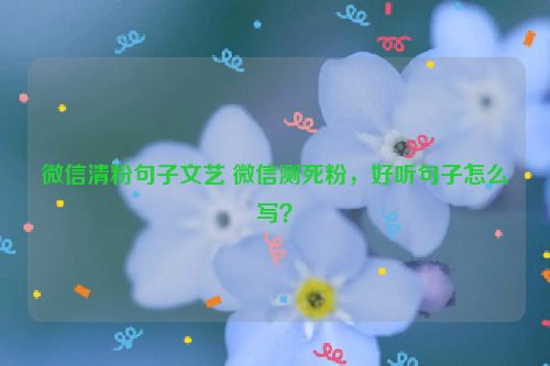 微信清粉句子文艺 微信测死粉，好听句子怎么写？