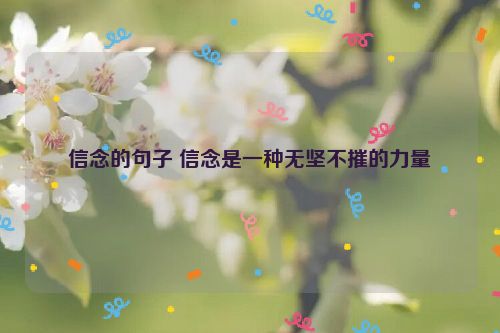 信念的句子 信念是一种无坚不摧的力量