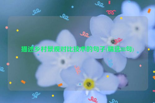描述乡村景观对比技术的句子(精选88句)