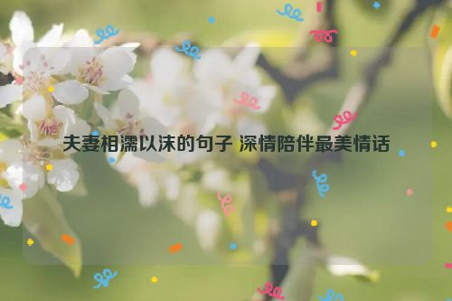 夫妻相濡以沫的句子 深情陪伴最美情话