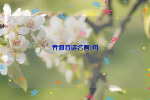 乔佩特诺名言1句