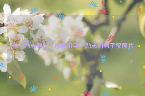 关于励志的句子图片带字，励志的句子配图片