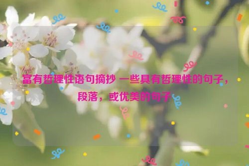 富有哲理性语句摘抄 一些具有哲理性的句子，段落，或优美的句子