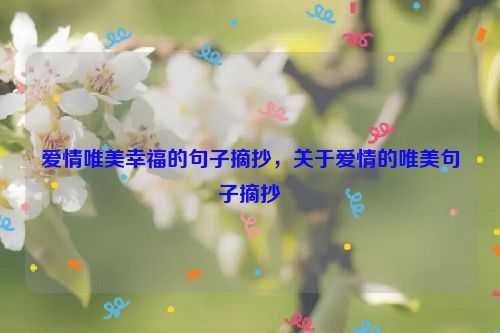 爱情唯美幸福的句子摘抄，关于爱情的唯美句子摘抄