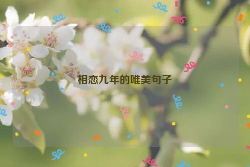 相恋九年的唯美句子