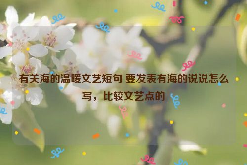 有关海的温暖文艺短句 要发表有海的说说怎么写，比较文艺点的