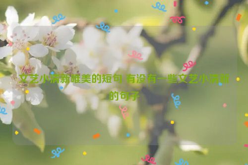 文艺小清新唯美的短句 有没有一些文艺小清新的句子